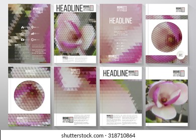 Business vector templates for brochure, flyer or booklet. Purple flowers. Collection of abstract multicolored backgrounds. Natural geometrical patterns. Triangular and hexagonal style.