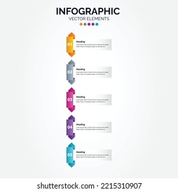 Business Vertical Infographic template. Thin line design with numbers 5 options or steps.