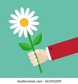 Businessman hand holding white daisy flower. Giving gift concept. Cute cartoon character. Red suit. Green background. Isolated. Vector illustration