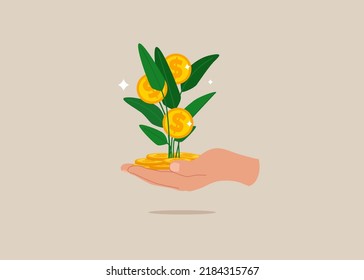 Businessman investor hand holding money flower plant from pile of coins. Investment growth, prosperity or earn more money from savings, mutual funds or opportunity to make profit and increase wealth. svg