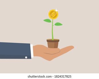 Businessman investor hand tendering hold plants pot with growing money tree with dollar sign. Growth stock return or dividend investment, saving and prosperity or success business achievement concept.
