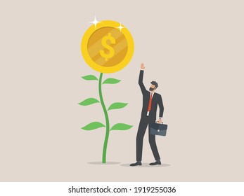 Businessman stands look at a money tree, success concept.