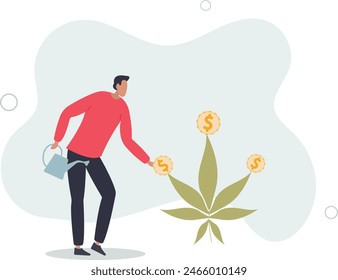 businessman watering cannabis plant with dollar money earning.flat vector illustration.