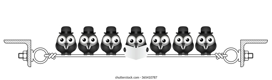 Businessmen birds roosting on a steel wire isolated on white background