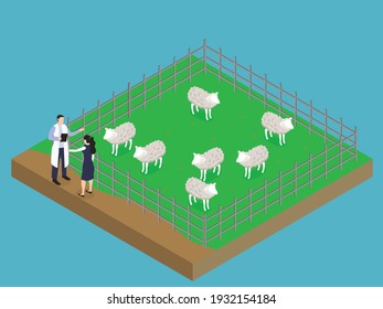 Businesswoman and veterinarian talking at the farm sheep. Isometric vector concept