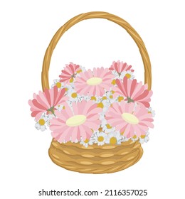 Busked with pink gerbera stock vector illustration for web, for print