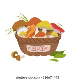 Busket full of wild mushrooms. Colorful cartoon illustration