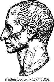 Bust Julius Caesar 100