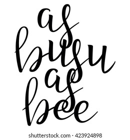 As Busu As Bee. Calligraphic quote. Typographic Design. Black Hand Lettering Text Isolated on White Background. For Housewarming Posters, Greeting Cards, Home Decorations. Vector illustration