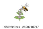 Busy bee pollinating a purple blooming sprig with visible pollen sacs on its legs.