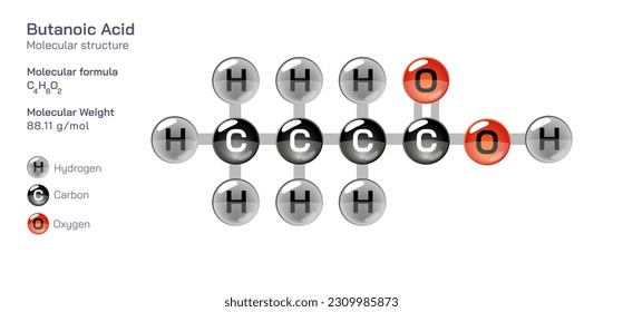 Butanoic Acid molecular structure formula. Periodic table structural molecular formula Vector design. Pharmaceutical compounds and composition. Easily printable product with correct CPK colour.