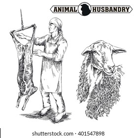 butcher cut up the carcass of a sheep