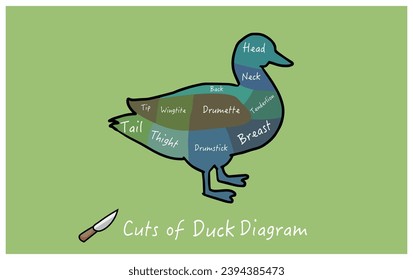 butcher cut main cuts of duck