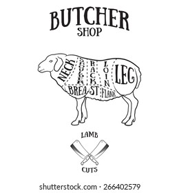Butcher cuts scheme of lamb or mutton.Hand-drawn illustration of vintage style
