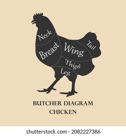Butcher diagram. Cuts of chicken meat for butchery, meat shop, restaurant, grocery store. Vector illustration.
