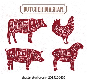 Butcher Diagram. Cuts Of Meat. Cow, Chicken, Pig, Sheep Silhouette. Beef,chicken, Pork, Lamb Meat Cuts. Vector Illustration For Butcher Shop.

