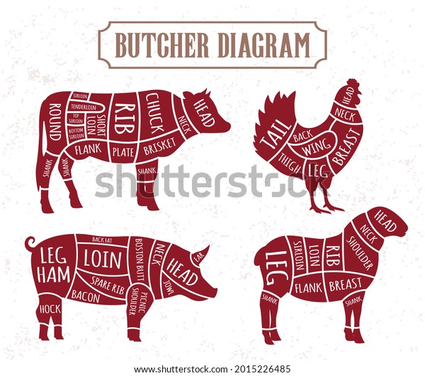 Butcher Diagram Cuts Meat Cow Chicken Stock Vector (Royalty Free ...