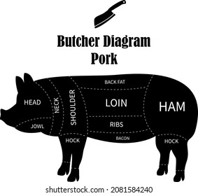 Butcher diagram. Cuts of pork meat for butchery, meat shop, restaurant, grocery store. Vector illustration