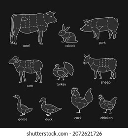 Butcher diagram of cutting meat. Set of vector signs. Ready for use in design.	