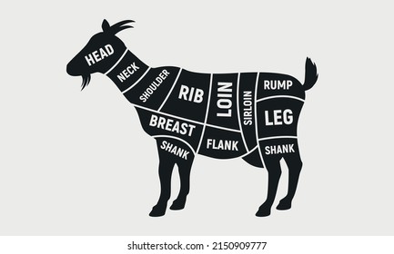 Butcher diagram, scheme set. Cuts of Goat. Goat silhouette isolated on white background. Vintage Poster for butcher shop. Vector illustration