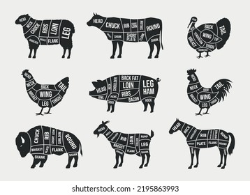 Butcher diagram, scheme set. Mutton, Lamb, Pork, Buffalo, Chicken, Turkey, Horse, Goat meat cuts. Cuts of meat set for butchery, meat shop, restaurant, grocery store. Vector illustration