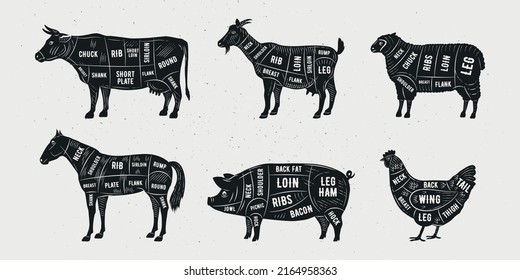 Butcher diagram, scheme set. Trendy vintage hand-drawn style. Lamb, Pork, Goat, Chicken, Horse, Beef meat cuts. Cuts of meat set for butchery, meat shop, restaurant, grocery store. Vector illustration