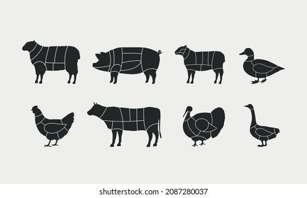 Butcher Diagram Templates Set. Butcher's Scheme Of Beef, Mutton, Lamb, Pork, Duck, Chicken, Turkey, Goose. Vector Meats Cuts Illustrations.