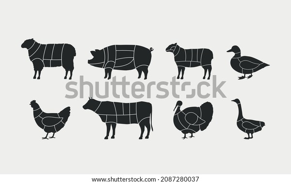 Butcher diagram templates set. Butcher\'s\
scheme of Beef, Mutton, Lamb, Pork, Duck, Chicken, Turkey, Goose.\
Vector Meats cuts\
illustrations.