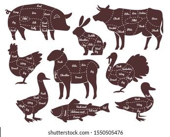 Butcher diagrams. Cutting lines different parts domestic farm animals silhouettes. Outline meat schemes, market menu vector lamb chicken sheep isolated food set