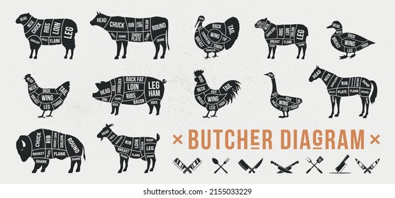 Butcher diagrams of meat cuts. Horse, Goat, Lamb, Pork, Duck, Chicken, Turkey, Goose meat cuts. Cuts of meat set for butchery, bbq. Meat Cleaver, Chef knife, Fork icons. Vector illustration