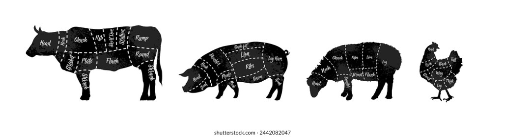 Butcher diagrams of meat hen, chicken,sheep, lamb, cow, beef, pork, pig - vector illustration