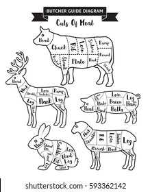 Butcher guide cuts of meat diagram. Vector illustrations.