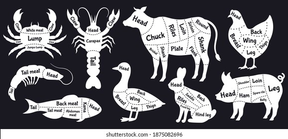 Butcher guide. Meat cuts scheme, beef, chicken, fish and shrimp silhouette, meat cutting lines. Butcher shop meat cuts scheme vector illustration set. Blackboard butchery silhouette, seafood and meat