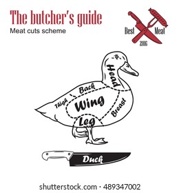 Butcher guide vector illustration. Cut scheme duck meat. Vintage design