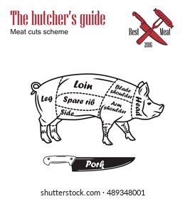 Butcher guide vector illustration. Cut scheme pork. Pig meat vintage design