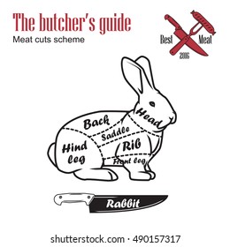 Butcher guide vector illustration. Cut scheme rabbit meat. Vintage design