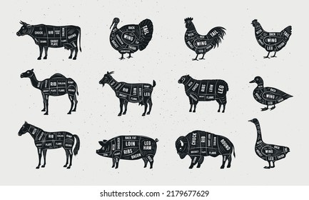 Butcher Meat Cuts Set Butchers Posters Stock Vector (Royalty Free ...
