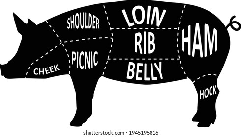 butcher pig on white background. barbecue shop sign. meat cuts sign. American US pork uts diagram. flat style.