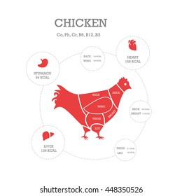 Butcher shop concept vector illustration. Chicken cuts. Animal parts diagram.