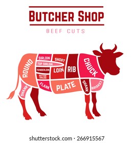 Butcher shop cuts of beef . Vector illustration