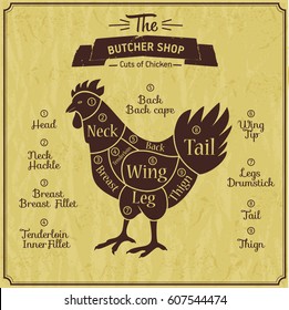 Butcher shop illustration of chicken. Farm vintage background. Scheme of part meet.
