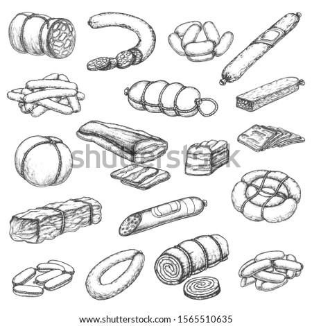 Butcher shop meat, vector hand drawn sketch icons. Butchery delicatessen and gourmet sausages, pork ham, beef steak and chops, mutton ribs, salami, barbecue brisket and jamon