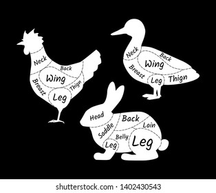 Butcher shop rabbit, duck, chicken. Agricultural meat farmers market. Diagram butcher pets rabbit, duck, chicken. Types of meat schemes for butchering vector illustration