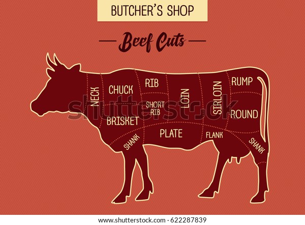 Butcher shop\'s beef cut illustration chart diagram.\
Specialty cuts of beef meat for cooking guide techniques. Cow steak\
meat cuts guide tips.