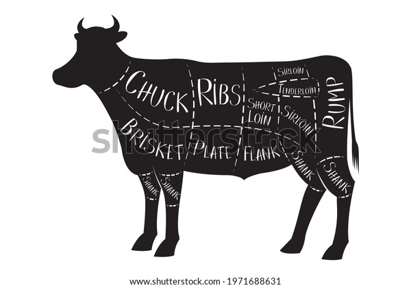 Butchers Guide Cow Beef Vector Illustration Stock Vector (Royalty Free ...