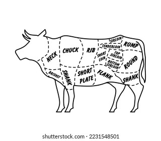 Butcher's guide: Cuts of beef scheme. Illustration of bull on white background