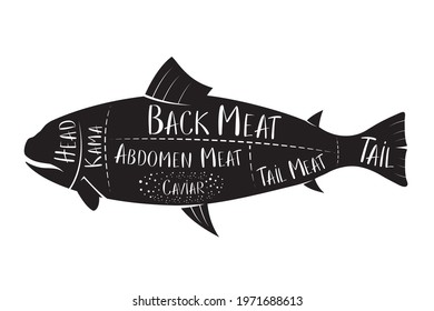 Butcher's guide - fish - vector illustration