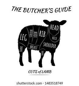 Butcher's guide set. Cuts of lamb meat. Isolated on white background, eps 10