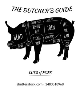 Butcher's guide set. Cuts of pork meat. Isolated on white background, eps 10