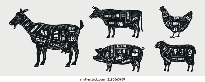 Juego de guías del carnicero. Cortes de cabra, cordero, vaca, pollo, silueta de cerdo. Diagrama de carne. Recortes de carne. Ilustración del vector